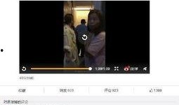 爆料襄阳网红事件视频,视频揭露惊人真相，网友热议不断